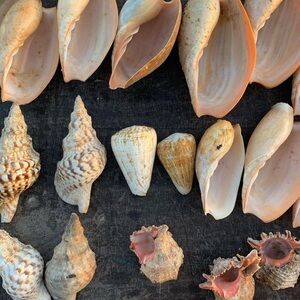 Meet your Posher, Myra